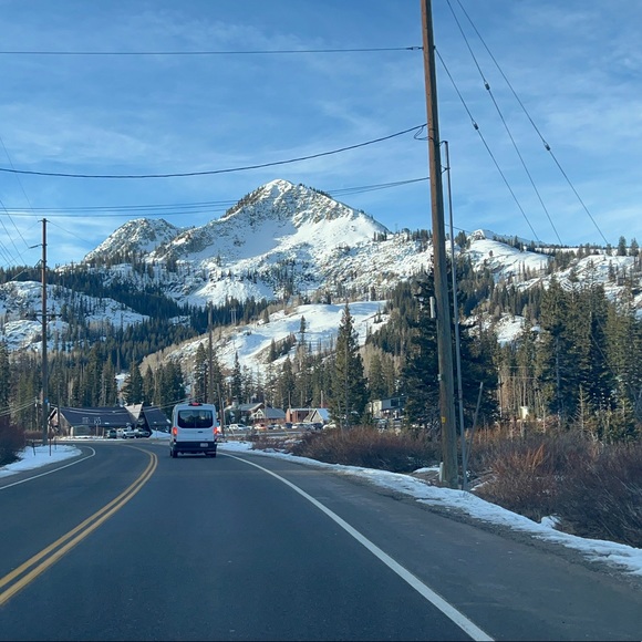 Meet your Posher, Nani - Picture 1 of 2